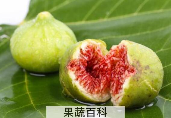 无花果怎么烘干保存 无花果怎么保存