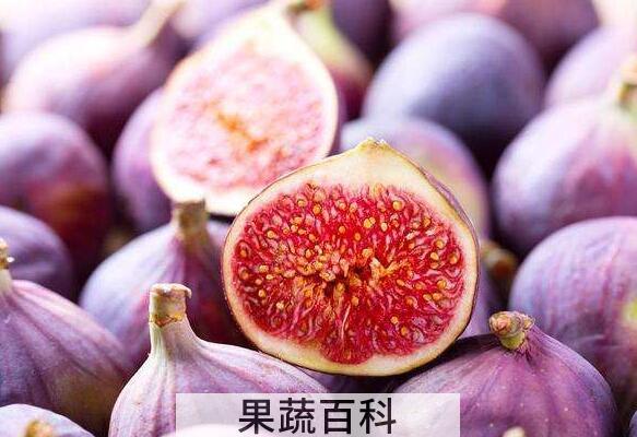 无花果怎么保存