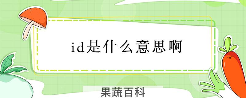 id是什么意思啊