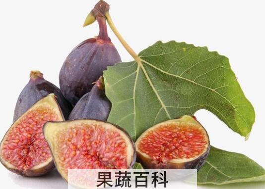 鲜无花果的功效与作用 新鲜无花果怎么吃