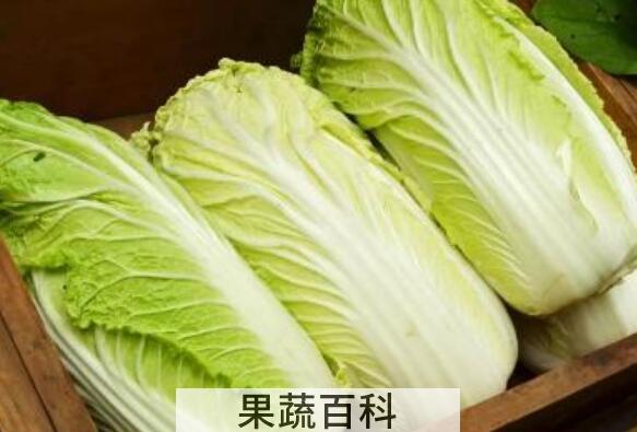 煮白菜水泡脚的功效与作用 煮白菜水的作用