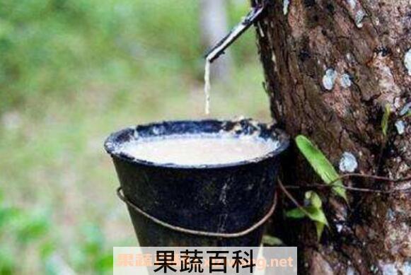 天然橡胶的作用 天然橡胶的用途有哪些