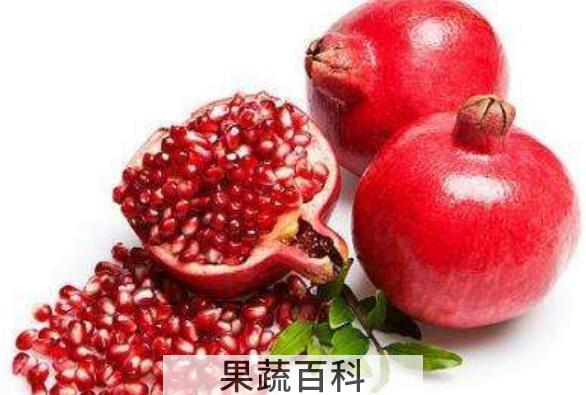 石榴籽油的功效与作用