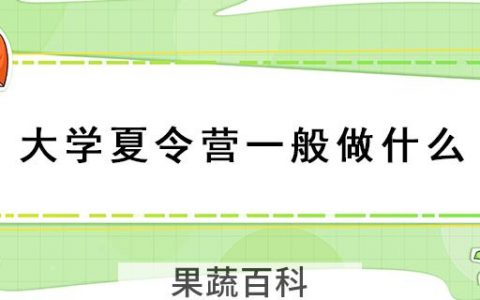 大学夏令营一般做什么