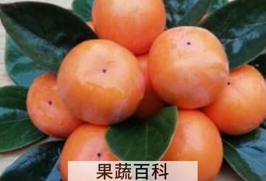 懒柿子如何做 懒柿子的制作方法窍门