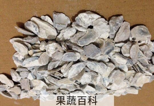生牡蛎的功效与作用及药用价值
