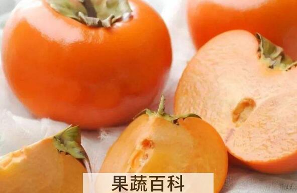 脆柿子怎么做 脆柿子的做法窍门