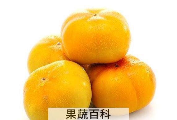脆柿子怎么做 脆柿子的做法窍门