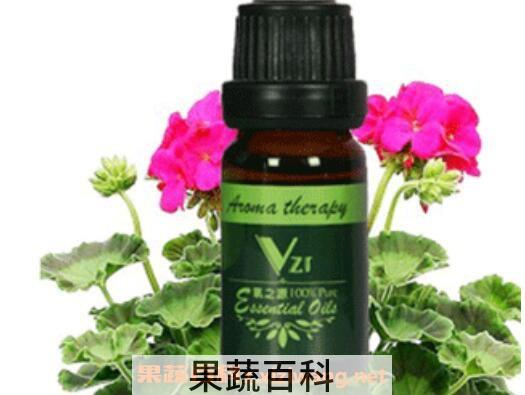 天竺葵精油怎么用 天竺葵精油的用法