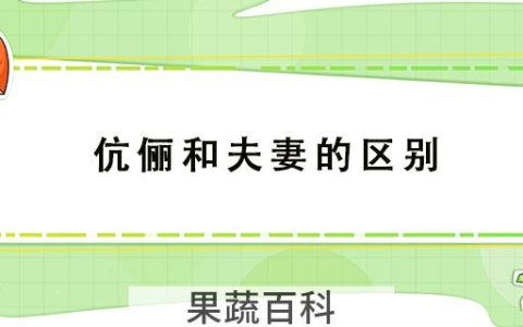 伉俪和夫妻的区别