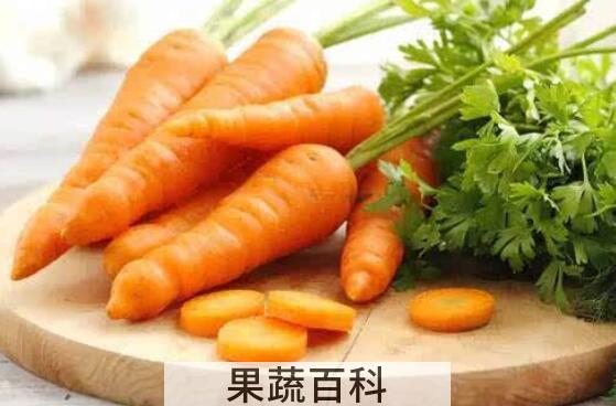胡萝卜须的功效与作用