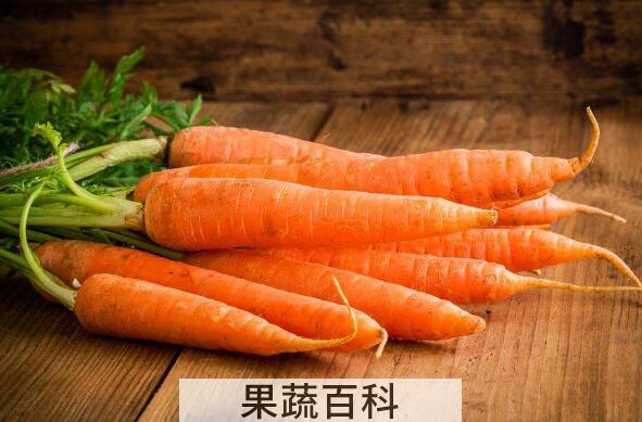 胡萝卜须的功效与作用