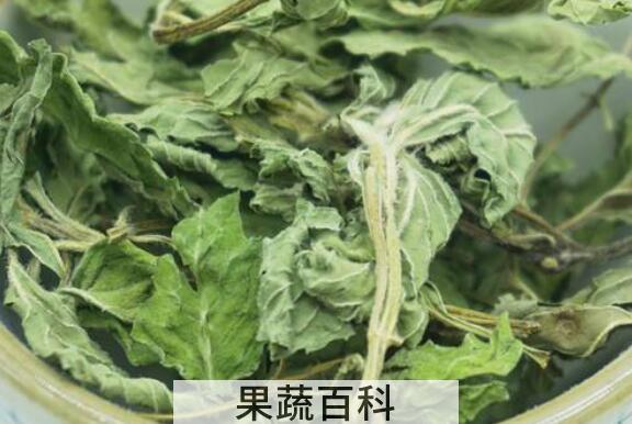 薄荷叶茶的功效与作用