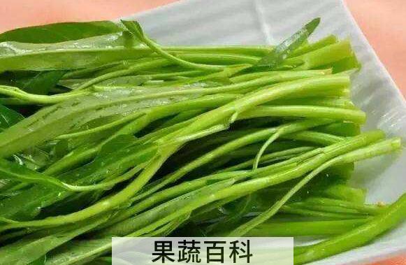 竹叶菜的功效与作用