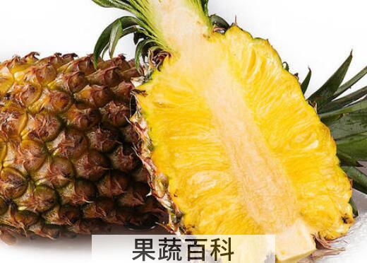 金菠萝的功效与作用及禁忌