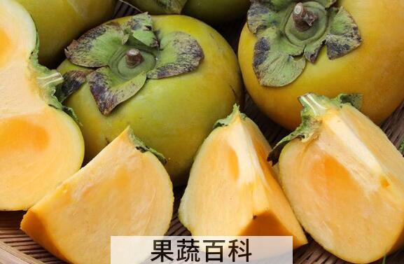 青柿子怎么去涩又脆又甜