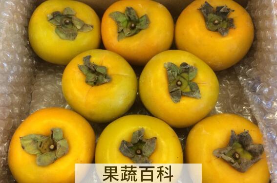 青柿子怎么去涩又脆又甜
