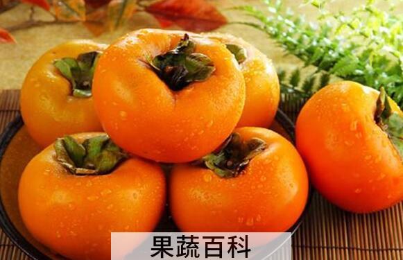 柿子怎样脱涩成脆柿子 柿子脱涩成脆柿的方法