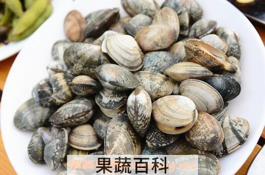 花蛤怎么清洗