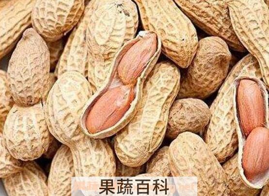 催奶的食物有哪些 什么东西催奶最好