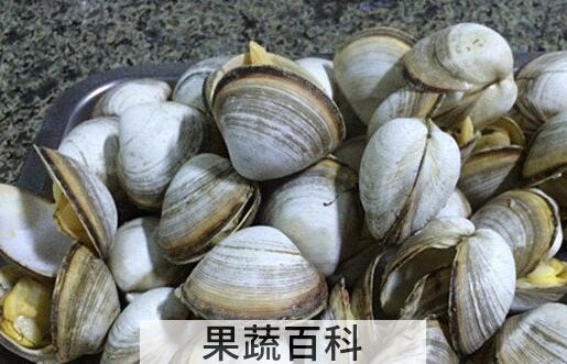 果蔬百科蚶子的功效与作用