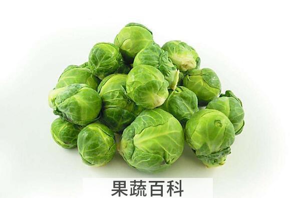 甘蓝菜怎么做好吃 甘蓝菜的食用方法