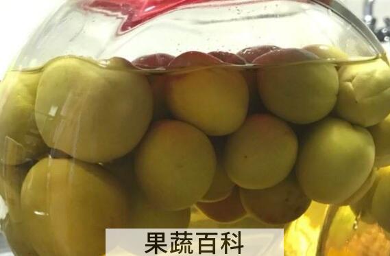 青梅酵素的功效与作用及危害