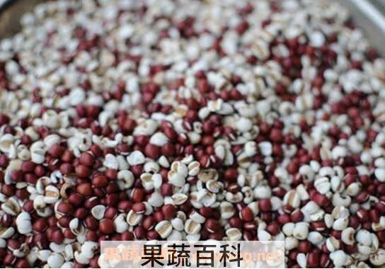 哪些食物能去湿气 常见去湿气的食物介绍
