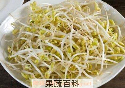 哪些食物能去湿气 常见去湿气的食物介绍