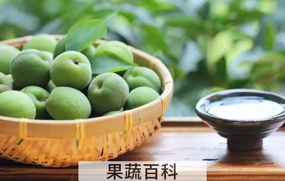 青梅醋的功效与作用及副作用
