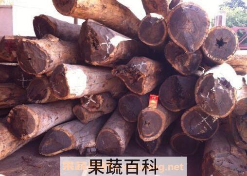 血檀的功效与作用
