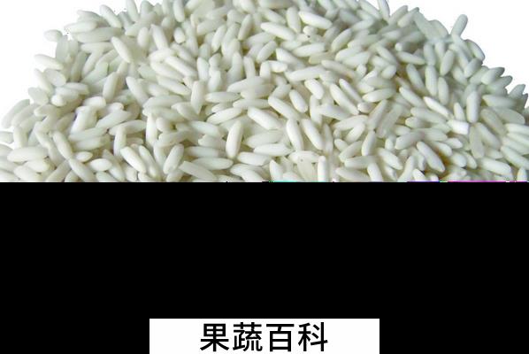 果蔬百科糯米的功效与作用