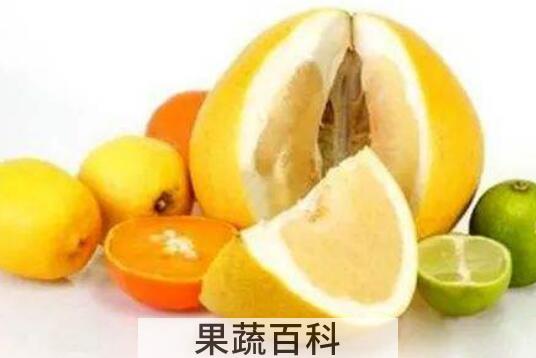 黄柚子和红柚子的区别 吃柚子的好处