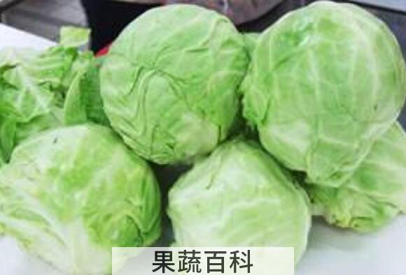 圆白菜和甘蓝如何区别 吃圆白菜的好处