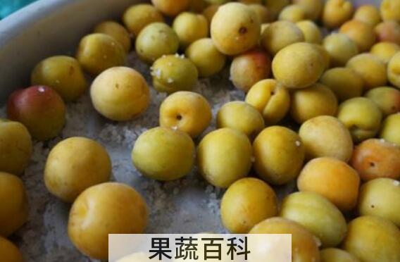 盐啧青梅的功效与作用