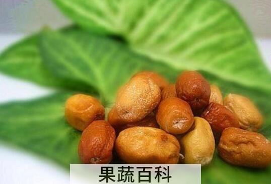 沙枣怎么泡水 沙枣的食用方法