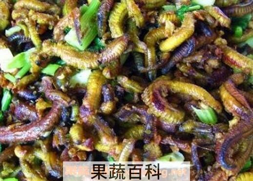 禾虫是什么
