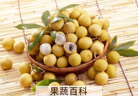 缺铁性贫血吃什么好 适合缺铁性贫血吃的食物
