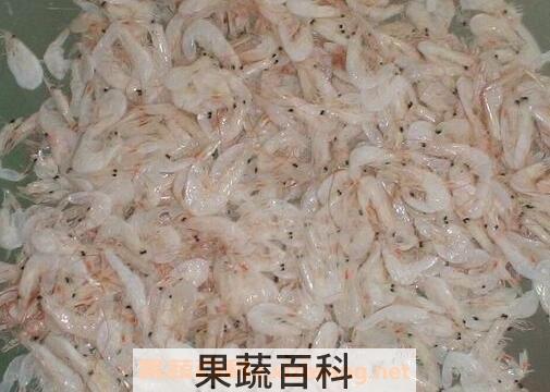 虾皮是什么 吃虾皮的好处有哪些