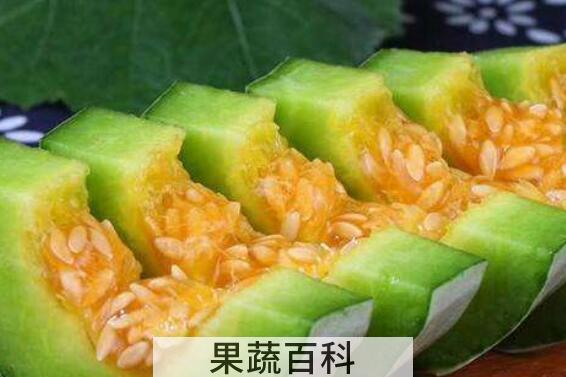 羊角脆的功效与作用及禁忌