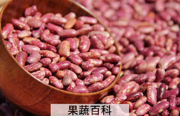 怎样区分腰豆和芸豆