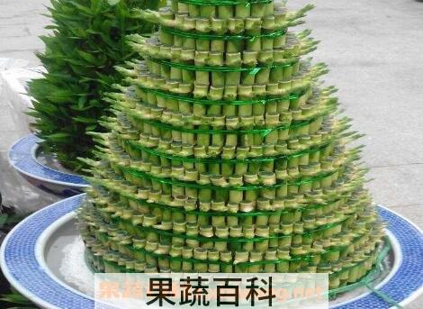 节节高叶子发黄怎么办