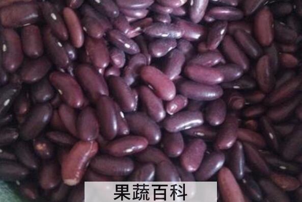 熟的紫芸豆怎么吃 紫芸豆怎么做好吃