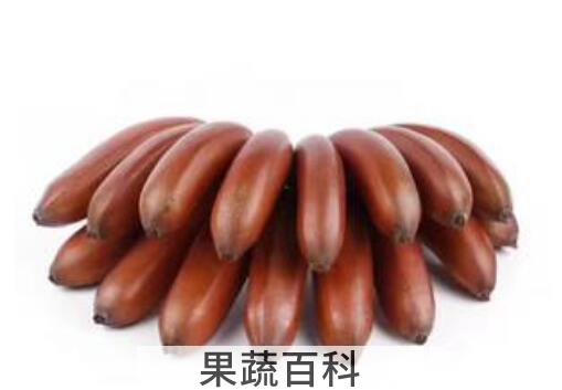 美人香蕉的功效与作用