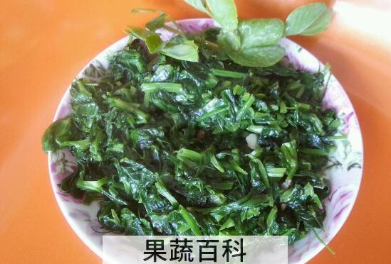 蚕豆叶的功效与作用及禁忌