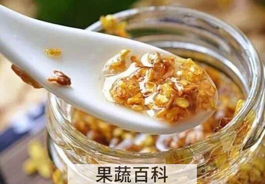 腌桂花怎么做 腌桂花的家常做法教程
