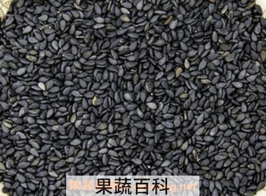 防辐射的食物有哪些