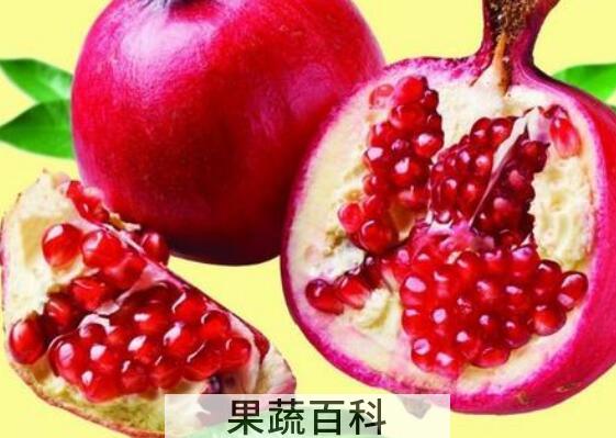 石榴籽的功效与作用 吃石榴籽的好处