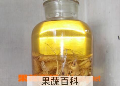果蔬百科人参蛤蚧酒的做法与功效