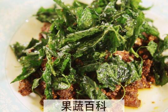 藿香菜哪些人不适合吃 吃藿香菜的坏处